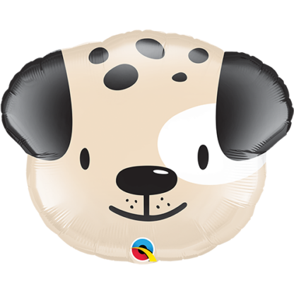 Cute puppy