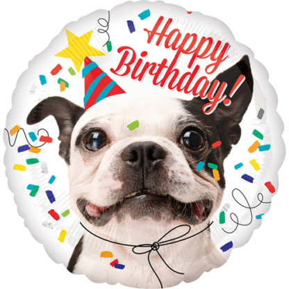 Happy birthday hund
