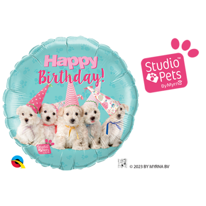 Birthday puppies
