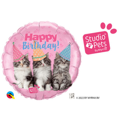 Birthday kittens