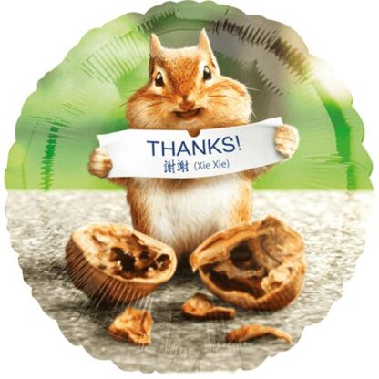 Thank You Chipmunk